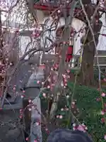 成願寺(東京都)