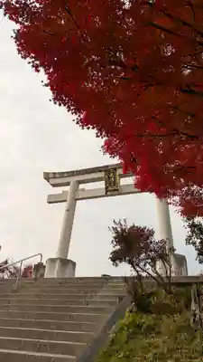 長岡天満宮(京都府)