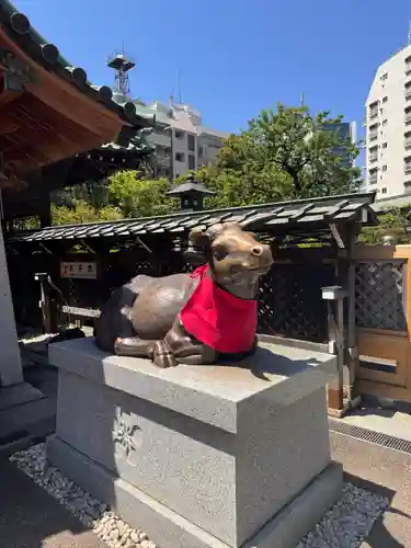湯島天満宮の狛犬