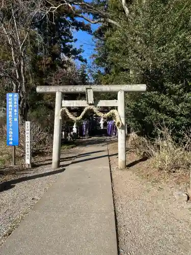 下野 星宮神社の{uncategorized: "未分類", other: "その他", undefined: "問題あり", building: "その他建物", grave: "お墓", sacred_gate: "鳥居", guardian: "狛犬", statue: "像", buddha: "仏像", history: "歴史", nature: "自然", garden: "庭園", animal: "動物", pagoda: "塔", temizu: "手水舎", mountain_gate: "山門・神門", sanctuary: "本殿・本堂", subordinate: "末社・摂社", art: "芸術", scenery: "景色", jizo: "地蔵", ema: "絵馬", goshuin: "御朱印", omikuji: "おみくじ", items: "授与品その他", amulet: "お守り", goshuincho: "御朱印帳", eats: "食事", festival: "お祭り", votive_dance: "神楽", shichigosan: "七五三参", wedding: "結婚式", experience: "体験その他", initially: "初詣", around: "周辺", anti_infection: "感染症対策"}