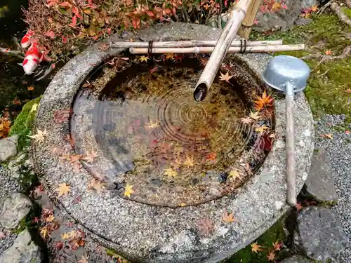 一條殿 新善光寺の手水舎