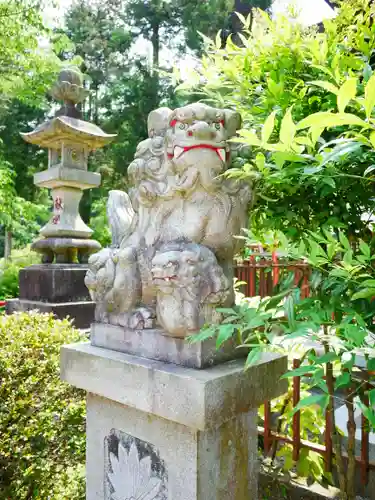 今熊神社の狛犬