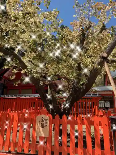 金櫻神社の自然