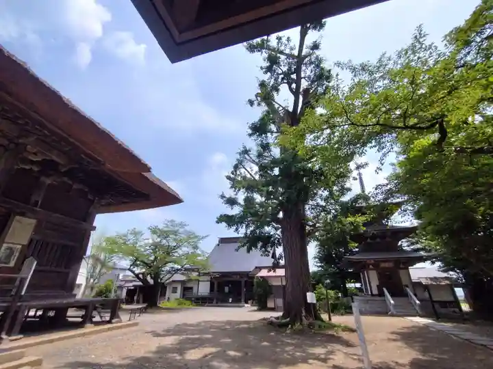 恵隆寺(立木千手観音)(福島県)