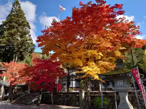 飛騨一宮水無神社の自然