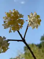 崇禅寺の自然