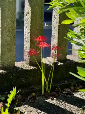 若宮神明社(愛知県)