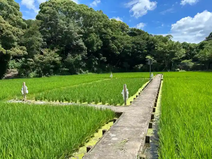 氷上姉子神社(熱田神宮摂社)(愛知県)