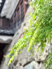 眞田神社の自然