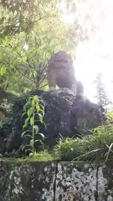 村山浅間神社の狛犬