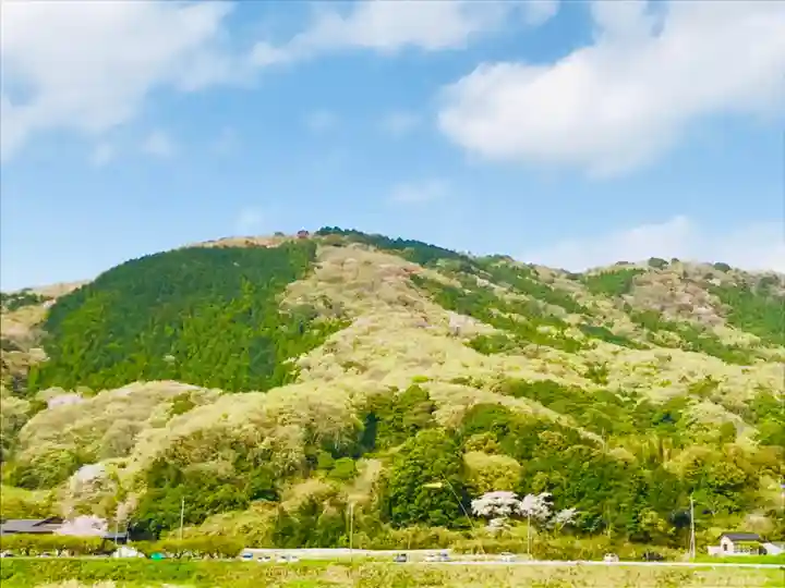 金嶽神社の景色