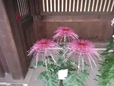 寒川神社(神奈川県)