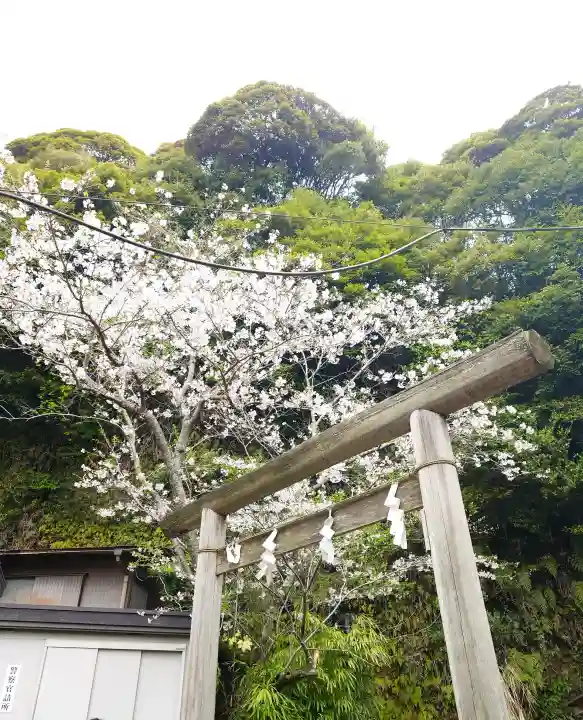 銭洗弁財天宇賀福神社の{uncategorized: "未分類", other: "その他", undefined: "問題あり", building: "その他建物", grave: "お墓", sacred_gate: "鳥居", guardian: "狛犬", statue: "像", buddha: "仏像", history: "歴史", nature: "自然", garden: "庭園", animal: "動物", pagoda: "塔", temizu: "手水舎", mountain_gate: "山門・神門", sanctuary: "本殿・本堂", subordinate: "末社・摂社", art: "芸術", scenery: "景色", jizo: "地蔵", ema: "絵馬", goshuin: "御朱印", omikuji: "おみくじ", items: "授与品その他", amulet: "お守り", goshuincho: "御朱印帳", eats: "食事", festival: "お祭り", votive_dance: "神楽", shichigosan: "七五三参", wedding: "結婚式", experience: "体験その他", initially: "初詣", around: "周辺", anti_infection: "感染症対策"}