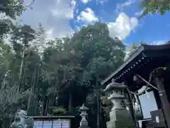 日枝神社の建物その他