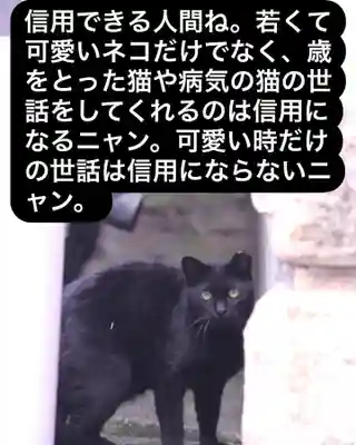 専念寺(大阪府)