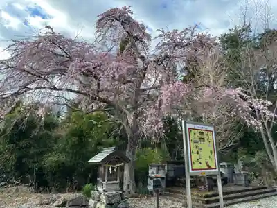 波寶神社(奈良県)
