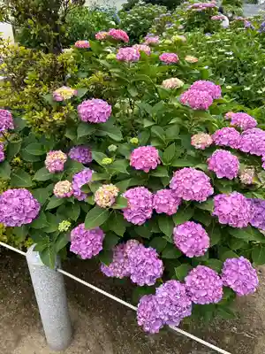 能護寺(埼玉県)