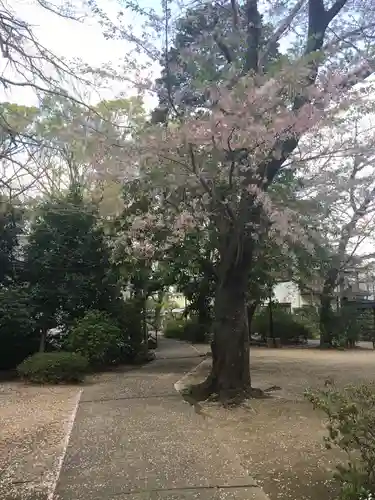 延寿院(千葉県)
