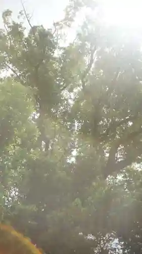 法楽寺(大阪府)