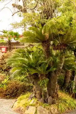 疋野神社(熊本県)