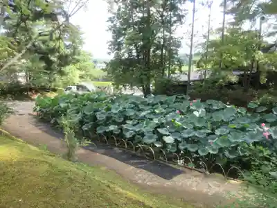 毛越寺(岩手県)