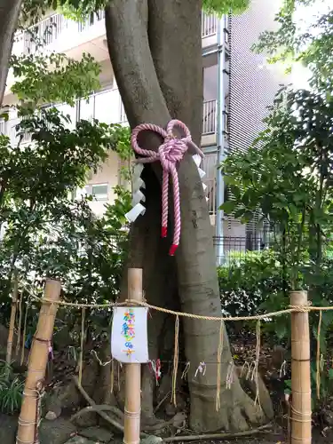 伊和志津神社の周辺