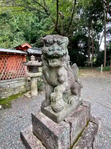 八幡宮（吉利倶八幡宮・勧修寺八幡宮）の狛犬