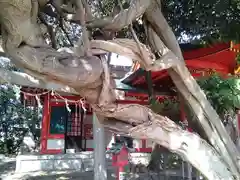 豊藤稲荷神社の自然