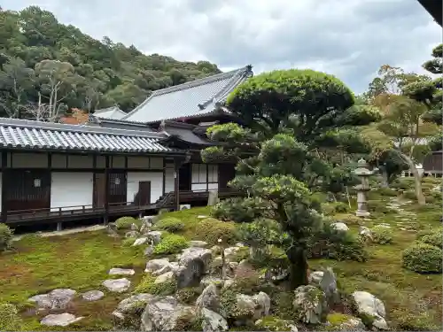 金剛寺(大阪府)
