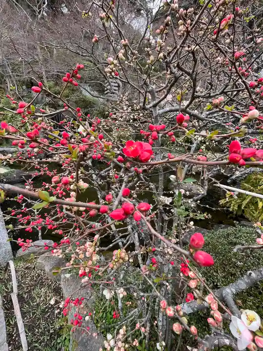 長谷寺(神奈川県)