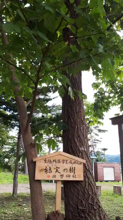 壮瞥神社の自然