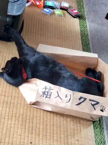 高司神社〜むすびの神の鎮まる社〜(福島県)