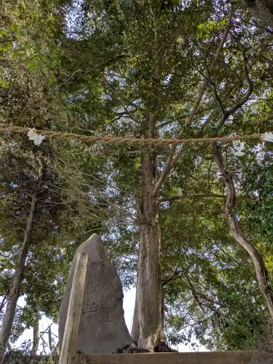 九重神社(埼玉県)