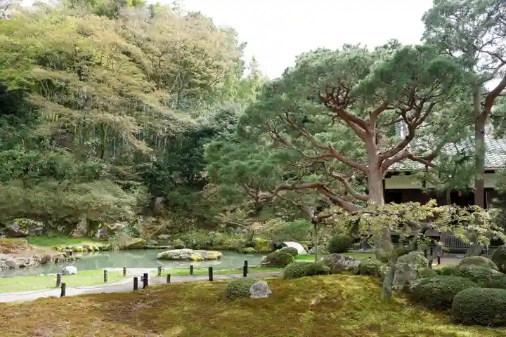 青蓮院門跡(京都府)