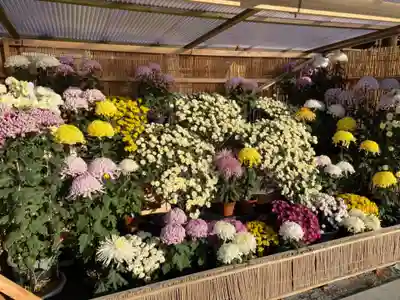 宮地嶽神社のその他建物