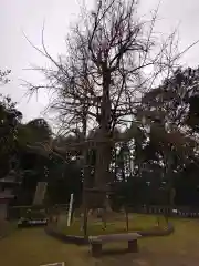 生目神社の自然