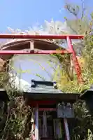 ガマ大明神(茨城県)