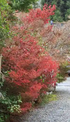 鍬山神社(京都府)