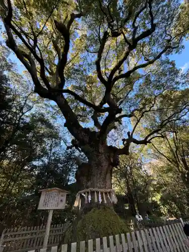 熱田神宮(愛知県)