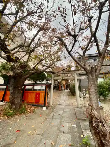 櫻宮神社(桜宮)の鳥居