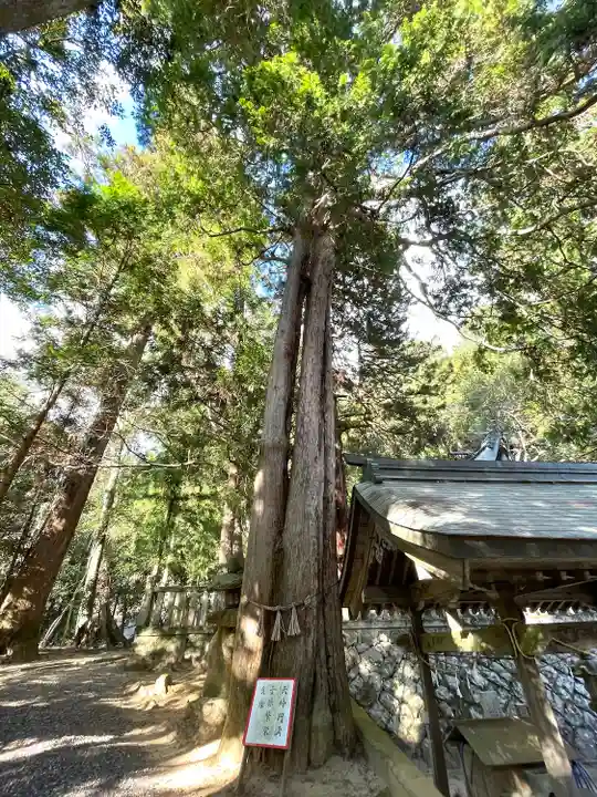 西山春日神社(三重県)