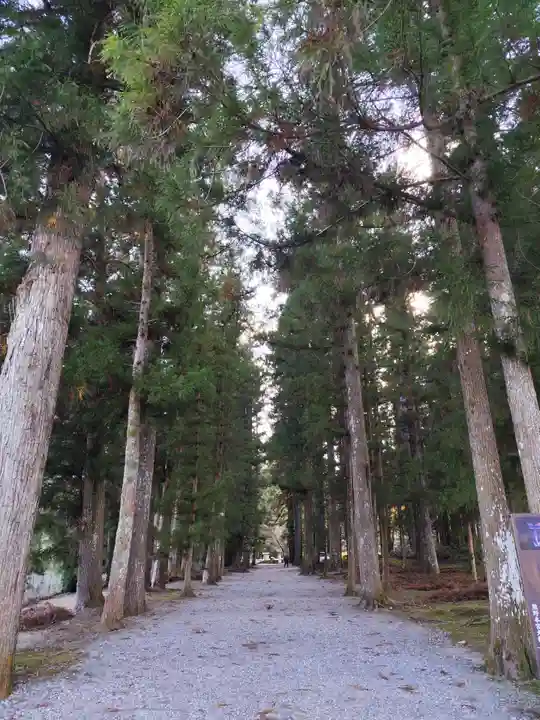 大斎原(熊野本宮大社旧社地)(和歌山県)
