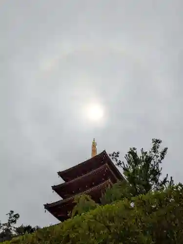 高幡不動尊　金剛寺(東京都)