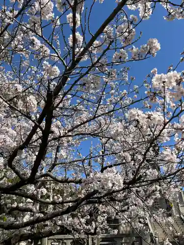 十日恵比須神社の自然