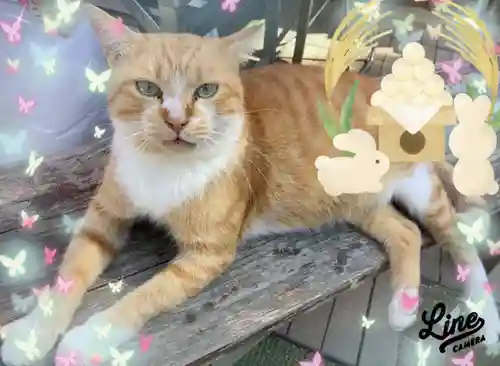 縣主神社(岡山県)