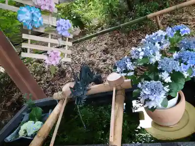 下野 星宮神社(栃木県)
