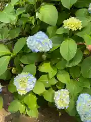 大生郷天満宮の自然