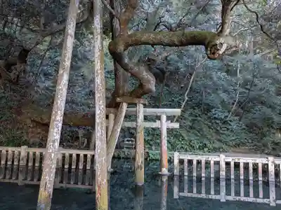 鹿島神宮(茨城県)
