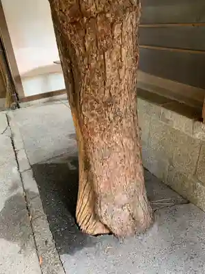 嚴島神社 (京都御苑)の自然
