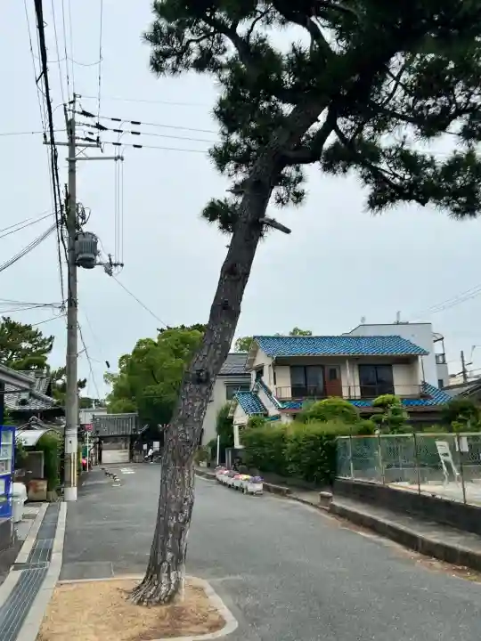 柴籬神社(大阪府)